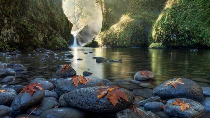 Steamy Mornings 14" Pano Print